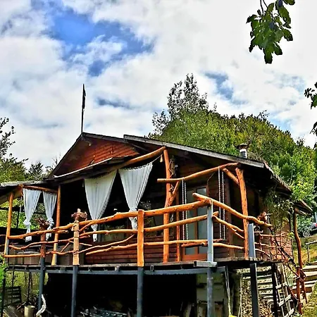 Domek alpejski Mystically Wood House In The Forest Carjari
