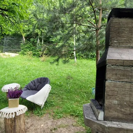 Mystically Wood House In The Forest